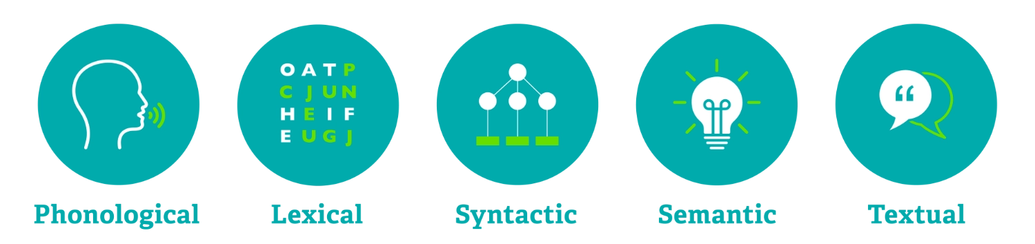 Language Components